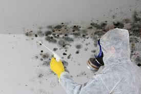 Best Comprehensive Air Testing for Mold Contaminants in USA